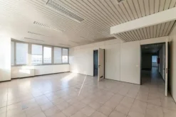 #2537729 Edificio cielo terra indipendente con parcheggio sotterraneo privato e ampia area esterna