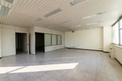 #2537729 Edificio cielo terra indipendente con parcheggio sotterraneo privato e ampia area esterna