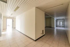 #2537729 Edificio cielo terra indipendente con parcheggio sotterraneo privato e ampia area esterna