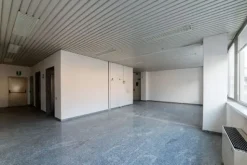 #2537729 Edificio cielo terra indipendente con parcheggio sotterraneo privato e ampia area esterna