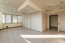 #2537729 Edificio cielo terra indipendente con parcheggio sotterraneo privato e ampia area esterna