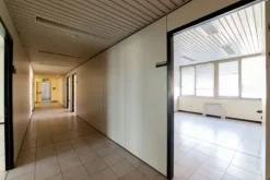 #2537729 Edificio cielo terra indipendente con parcheggio sotterraneo privato e ampia area esterna