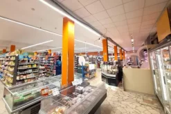 #24098 Edificio commerciale con parcheggio privato