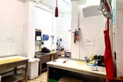 #24098 Edificio commerciale con parcheggio privato