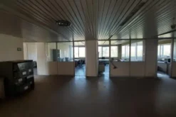 #25736 Edificio direzionale con uffici, mensa e cortile