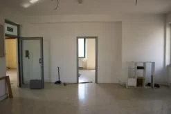 #14857 Edificio terziario con tettoie e corte privata