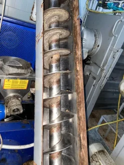 Elevatore coclea e tramoggia acciaio