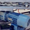 Elevatore per bovini