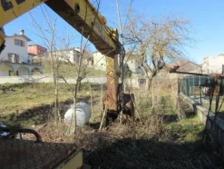 2#5164 Escavatore cingolato Laltesi