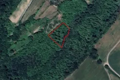 #24633 Fabbricati e terreni per azienda agricola