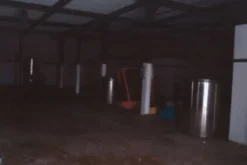 #12762 Fabbricato agricolo con vigneto