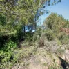 #25273 Fabbricato da riqualificare con terreno