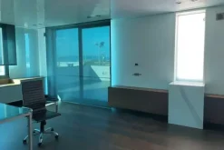 #20780 Fabbricato direzionale con cortile privato