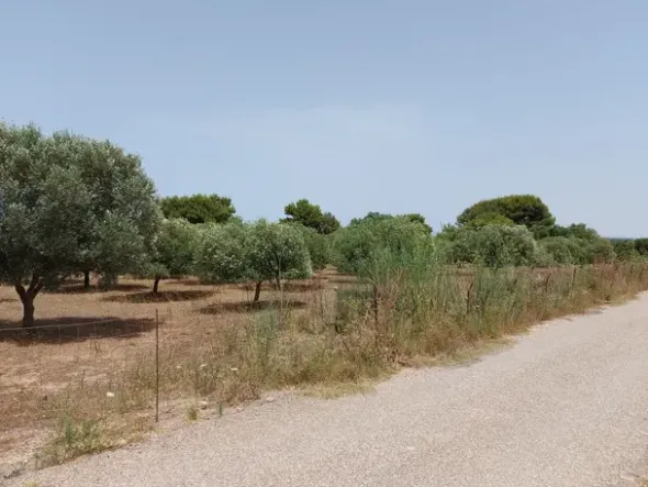 #6845 Fabbricato direzionale con terreni agricoli