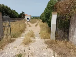 #6845 Fabbricato direzionale con terreni agricoli