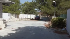 FABBRICATO + TETTOIE + PIAZZALE + TERRENO