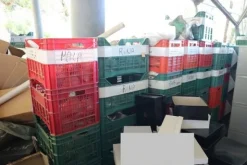 2#7430 Forme per calzature