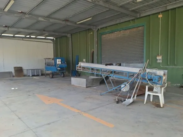 1#8532 Frantoio oleario Officine meccaniche toscane