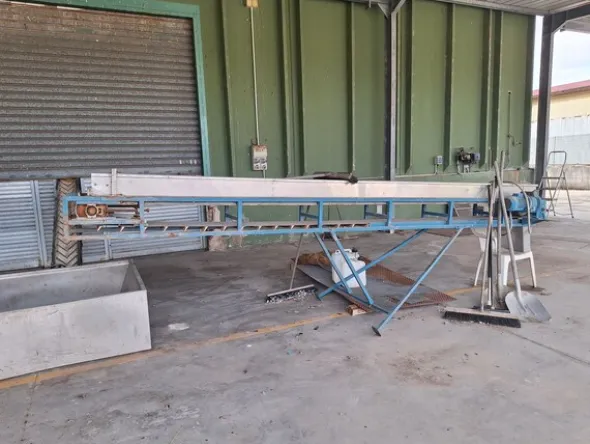 1#8532 Frantoio oleario Officine meccaniche toscane