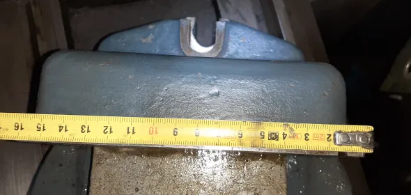 Fresatricemorsa