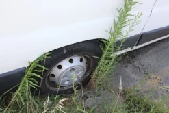 8#5495 Furgone Fiat Ducato