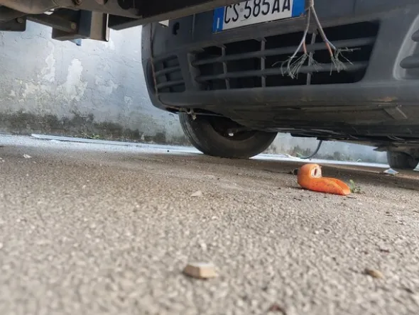 6#8385 Furgone Renault Trafic