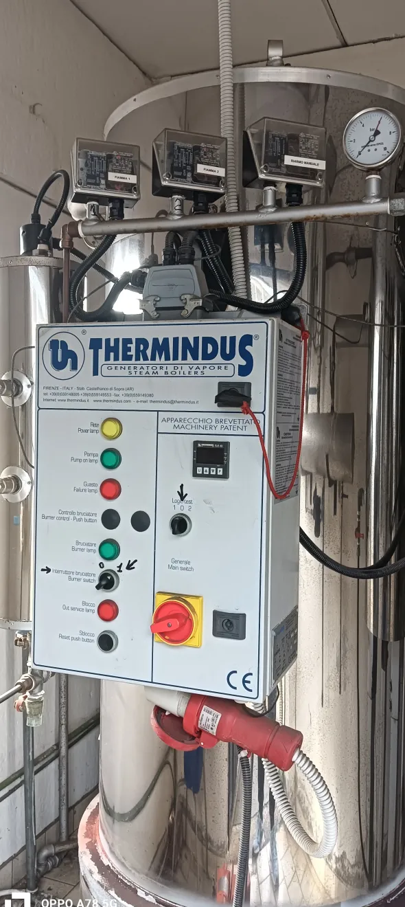 Generatore di vapore Thermindus TS 400