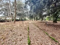 #22909 Giardino storico di 10.450 mq