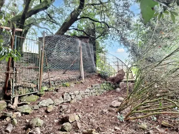 #22909 Giardino storico di 10.450 mq