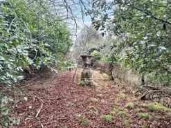 #22909 Giardino storico di 10.450 mq