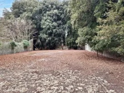 #22909 Giardino storico di 10.450 mq