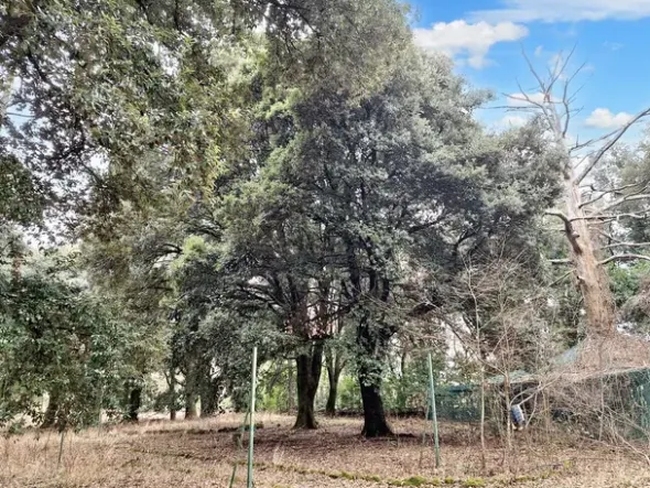 #22909 Giardino storico di 10.450 mq