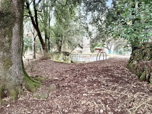 #22909 Giardino storico di 10.450 mq