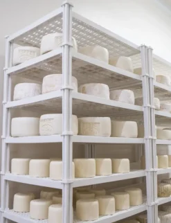 Griglia impilabile in plastica alimentare per formaggi