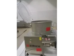 Hamburgatrice professioanale
