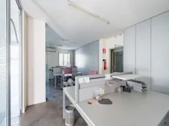 #14709 Immobile direzionale con giardino e piscina