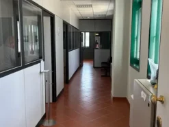 #2537098 Immobile polifunzionale fronte autostrada – Ottimo stato e alta redditività In vendita – Compendio immobiliare ad alta visibilità in posizione strategica