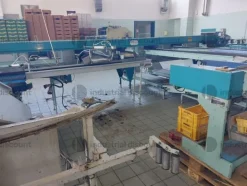 1#9462 Impianto lavorazione mele S.A.M.M.O