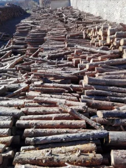 Impianto pellet 3,5 ton