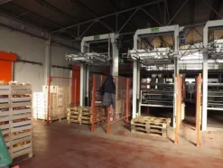 1#1963 Impianto smistamento Aweta per frutta rotonda