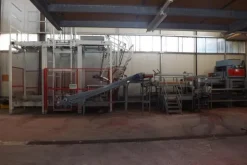 1#1963 Impianto smistamento Aweta per frutta rotonda