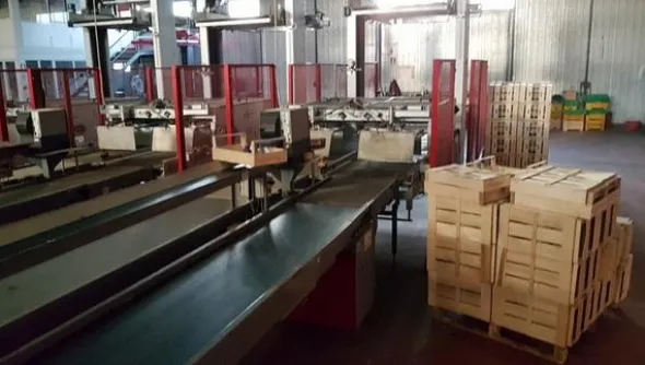 1#1963 Impianto smistamento Aweta per frutta rotonda