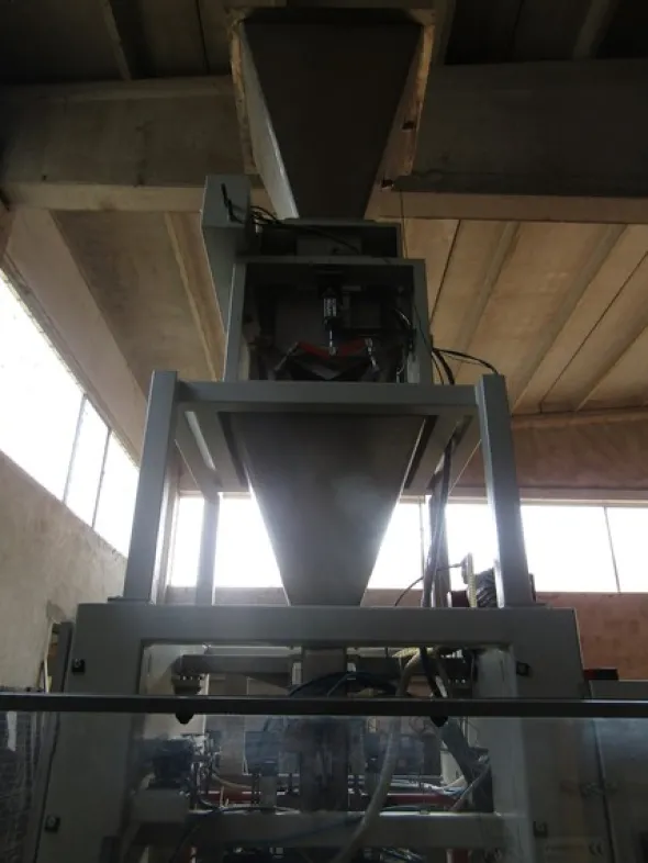 1#5295 Insaccatrice con imbancalatrice automatica Eurobotica