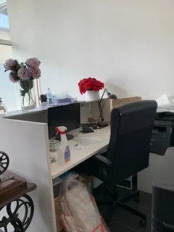 laboratorio moda