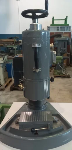 lapidello alpha