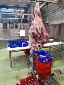 1#8737 Linea carne sottovuoto