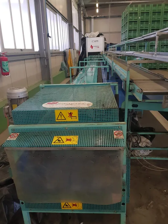 Linea di lavorazione Melone