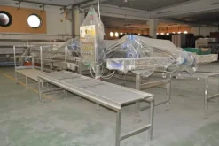 1#2231 Linea di lavorazione ortaggi Tecnofrutta