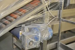 1#2231 Linea di lavorazione ortaggi Tecnofrutta