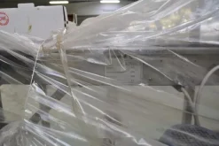 1#2231 Linea di lavorazione ortaggi Tecnofrutta